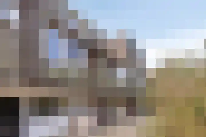 Seringenpark 15 Zoetermeer thumbnail 4