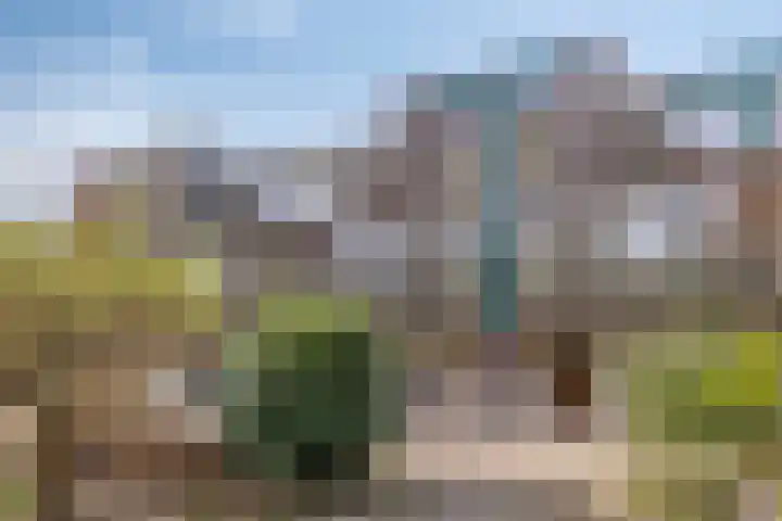 Seringenpark 15 Zoetermeer thumbnail 6