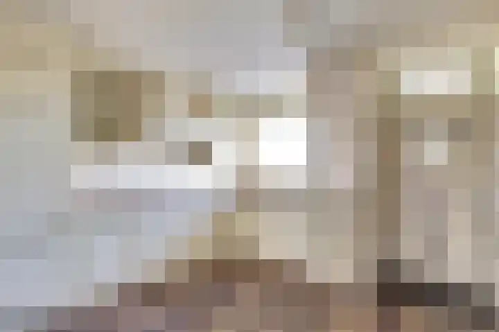 Seringenplantsoen 101 Ridderkerk thumbnail 10