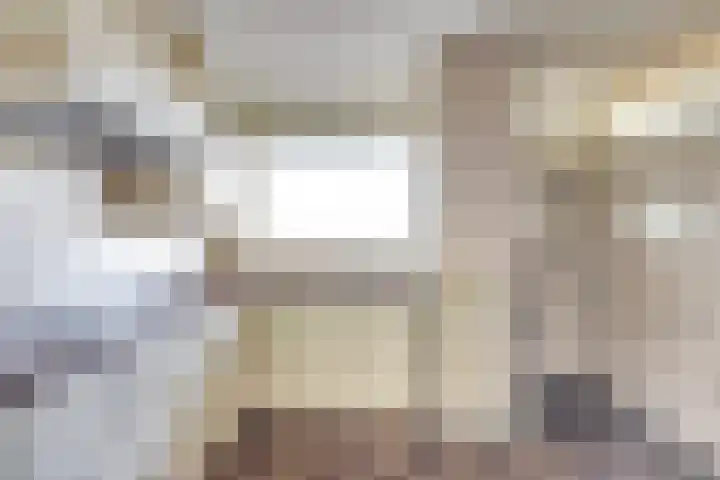 Seringenplantsoen 101 Ridderkerk thumbnail 12