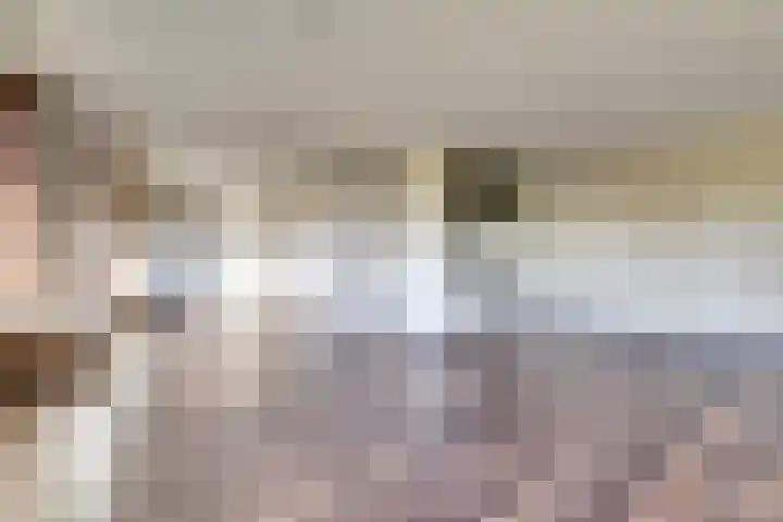 Seringenplantsoen 101 Ridderkerk thumbnail 16