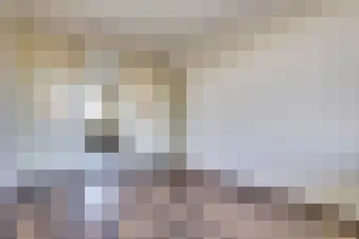 Seringenplantsoen 101 Ridderkerk thumbnail 19