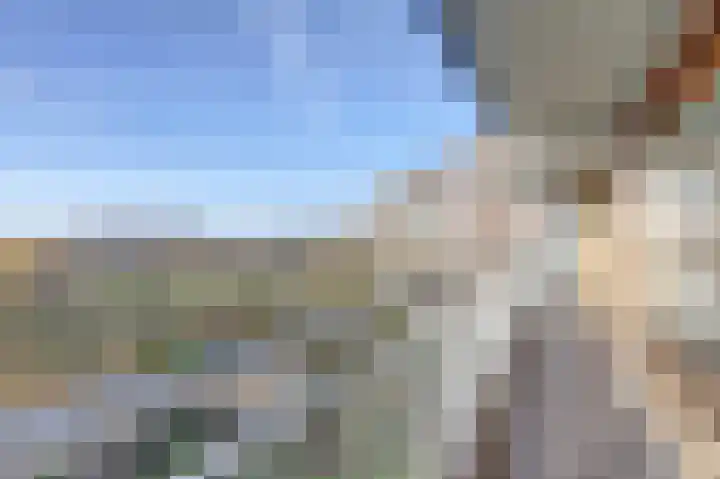 Seringenplantsoen 101 Ridderkerk thumbnail 25