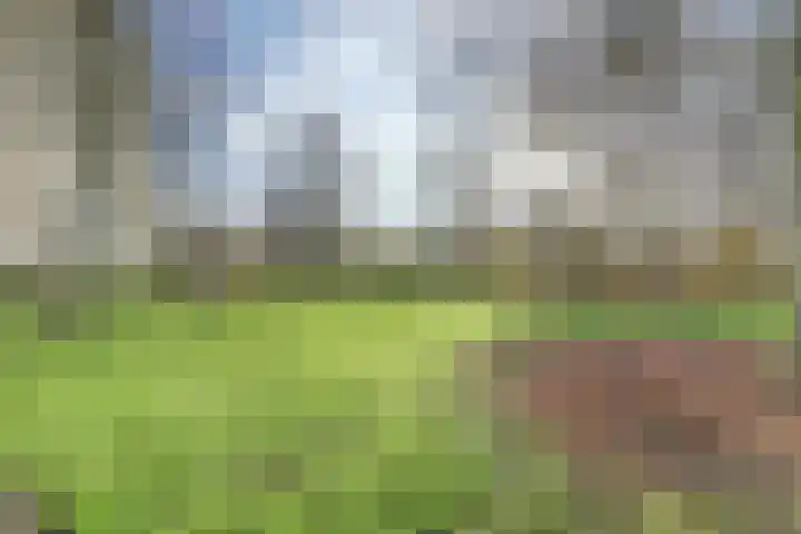 Seringenplantsoen 101 Ridderkerk thumbnail 27