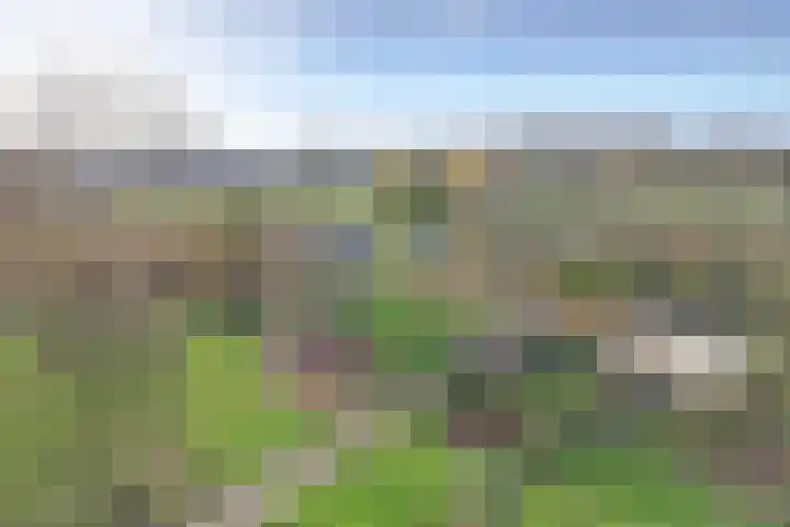 Seringenplantsoen 101 Ridderkerk thumbnail 28