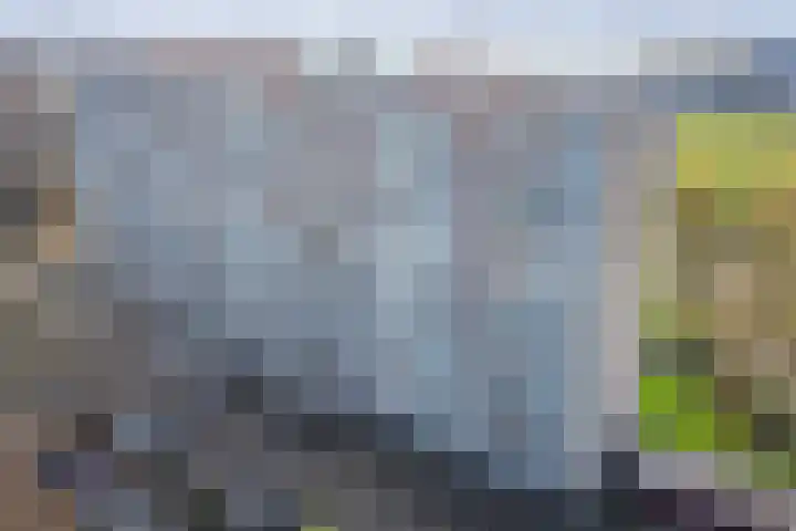 Seringenplantsoen 101 Ridderkerk thumbnail 29