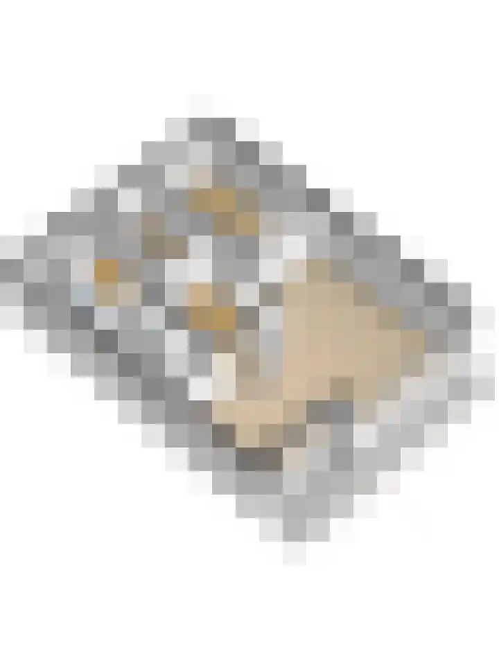Seringenplantsoen 101 Ridderkerk thumbnail 32
