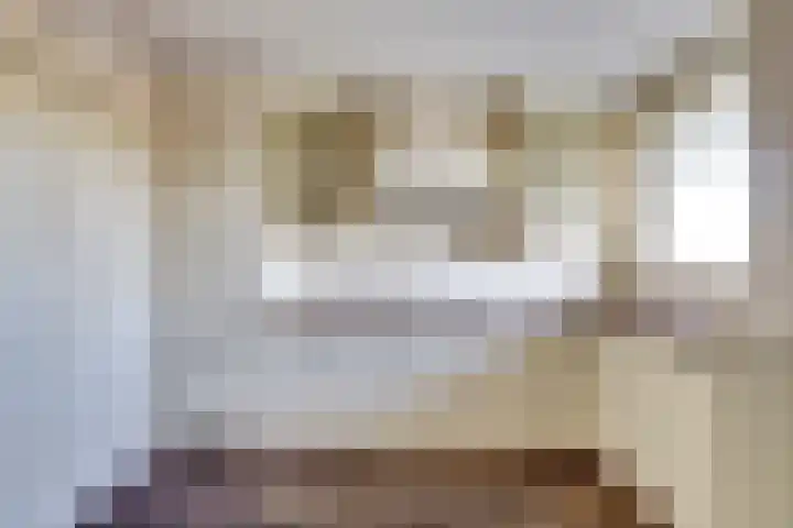 Seringenplantsoen 101 Ridderkerk thumbnail 4