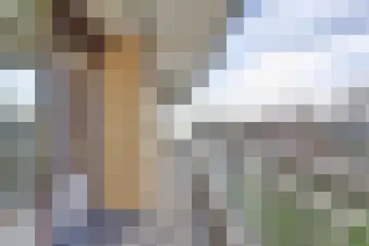 Seringenplantsoen 101 Ridderkerk thumbnail 5