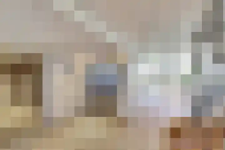 Seringenplantsoen 101 Ridderkerk thumbnail 6