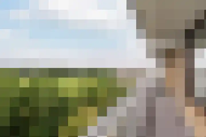 Seringenplantsoen 169 Ridderkerk thumbnail 21