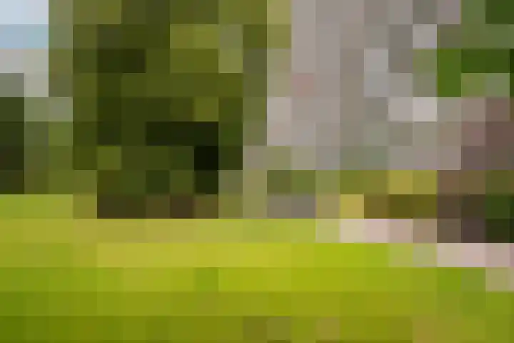 Seringenplantsoen 169 Ridderkerk thumbnail 29