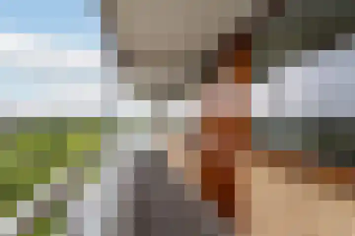 Seringenplantsoen 169 Ridderkerk thumbnail 7