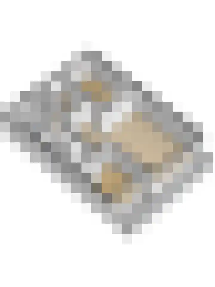 Seringenplantsoen 173 Ridderkerk thumbnail 32