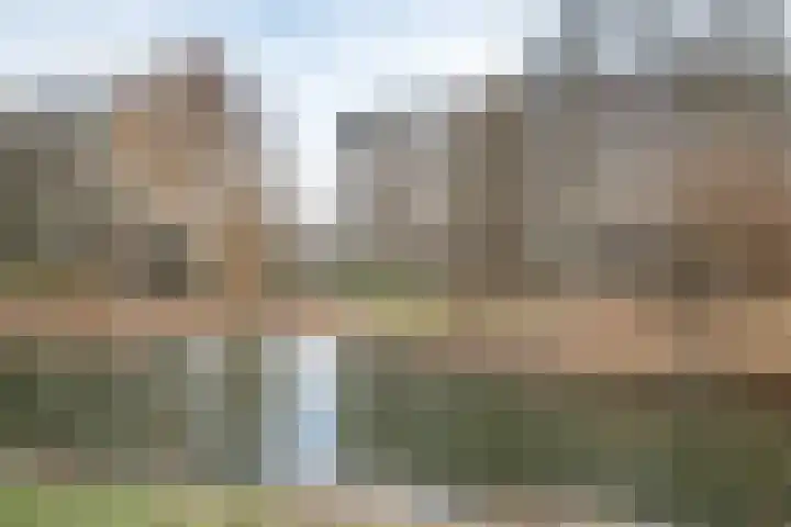 Seringenplantsoen 181 Ridderkerk thumbnail 22