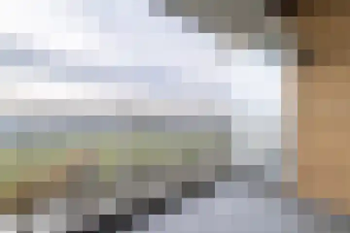 Seringenplantsoen 181 Ridderkerk thumbnail 7