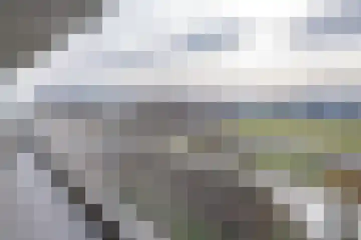Seringenplantsoen 181 Ridderkerk thumbnail 9