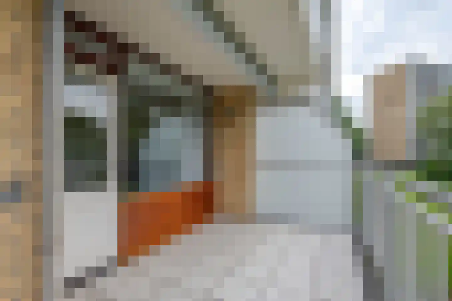 Seringenplantsoen 239 Ridderkerk thumbnail 15