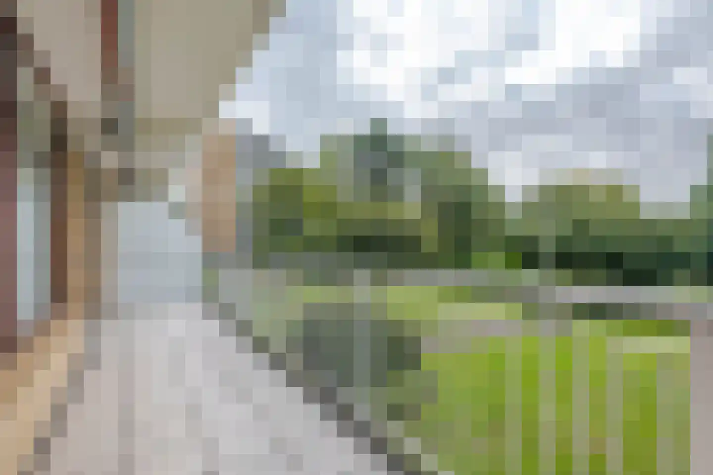 Seringenplantsoen 239 Ridderkerk thumbnail 17