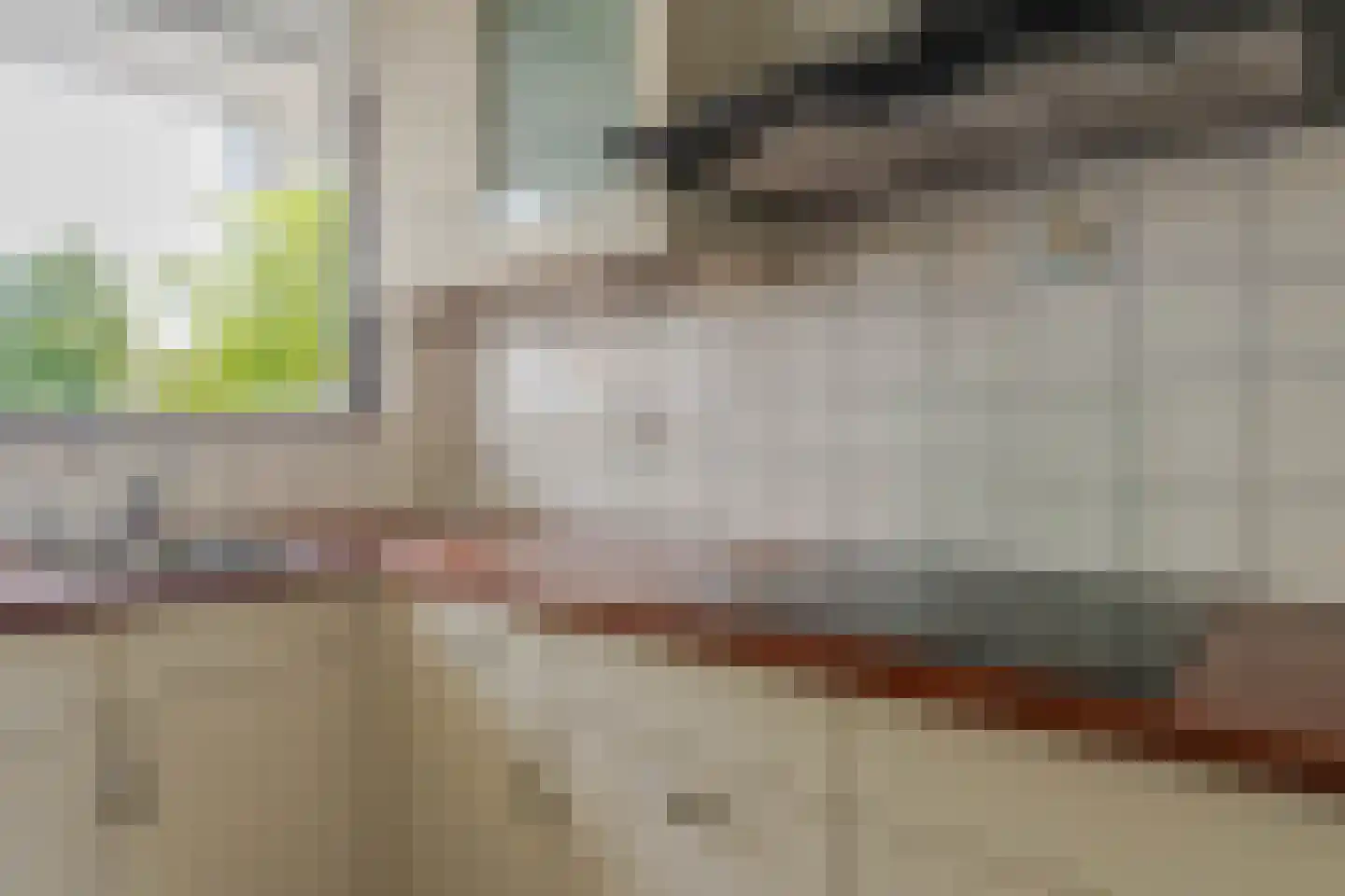 Seringenplantsoen 239 Ridderkerk thumbnail 26