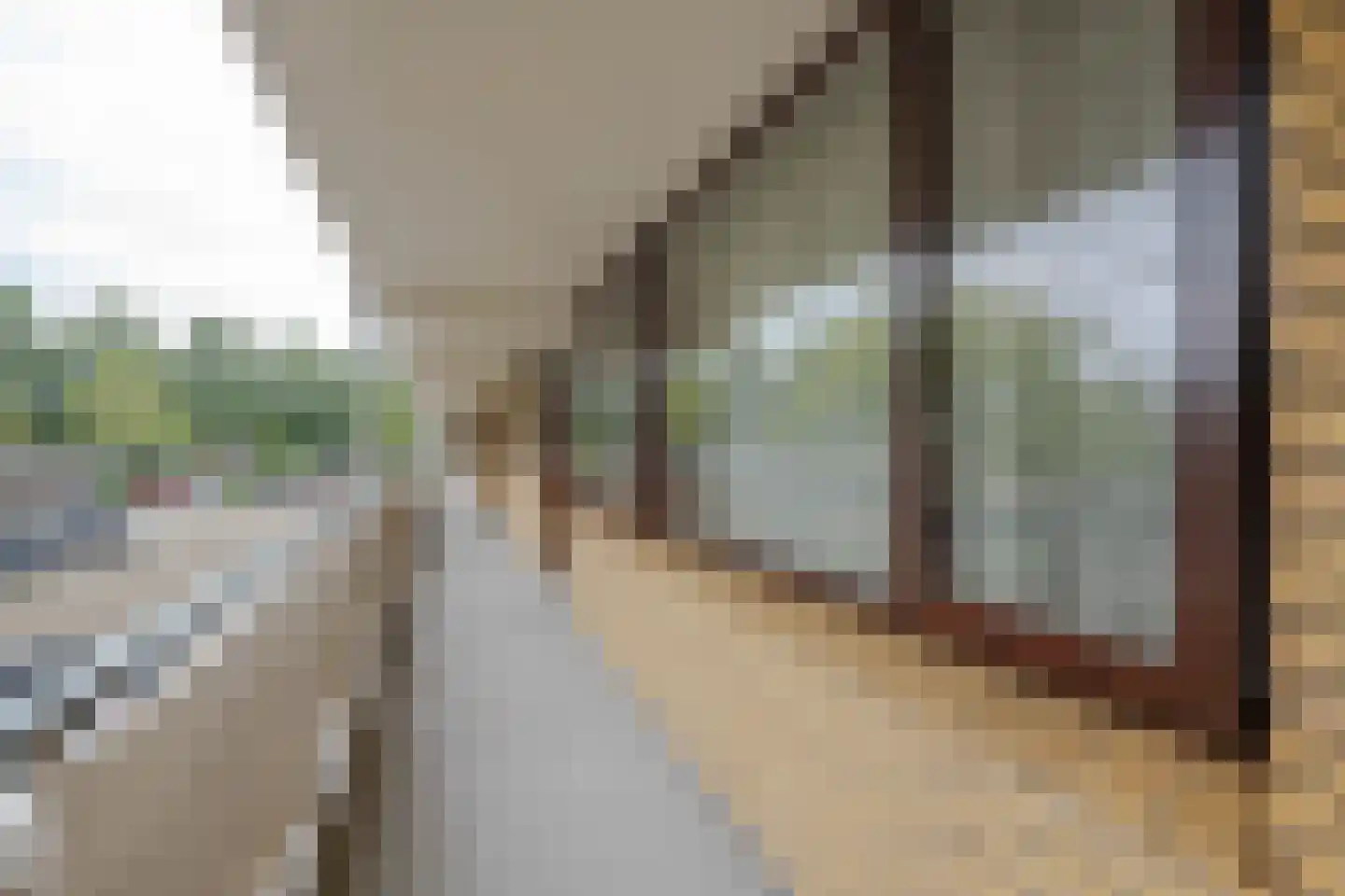 Seringenplantsoen 239 Ridderkerk thumbnail 28
