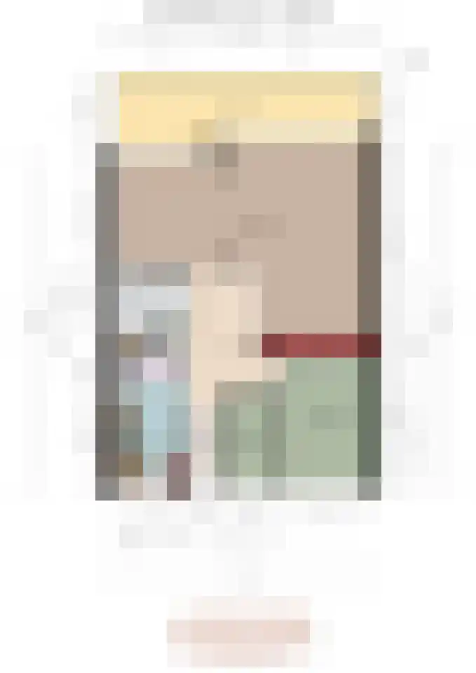 Seringenplantsoen 239 Ridderkerk thumbnail 32