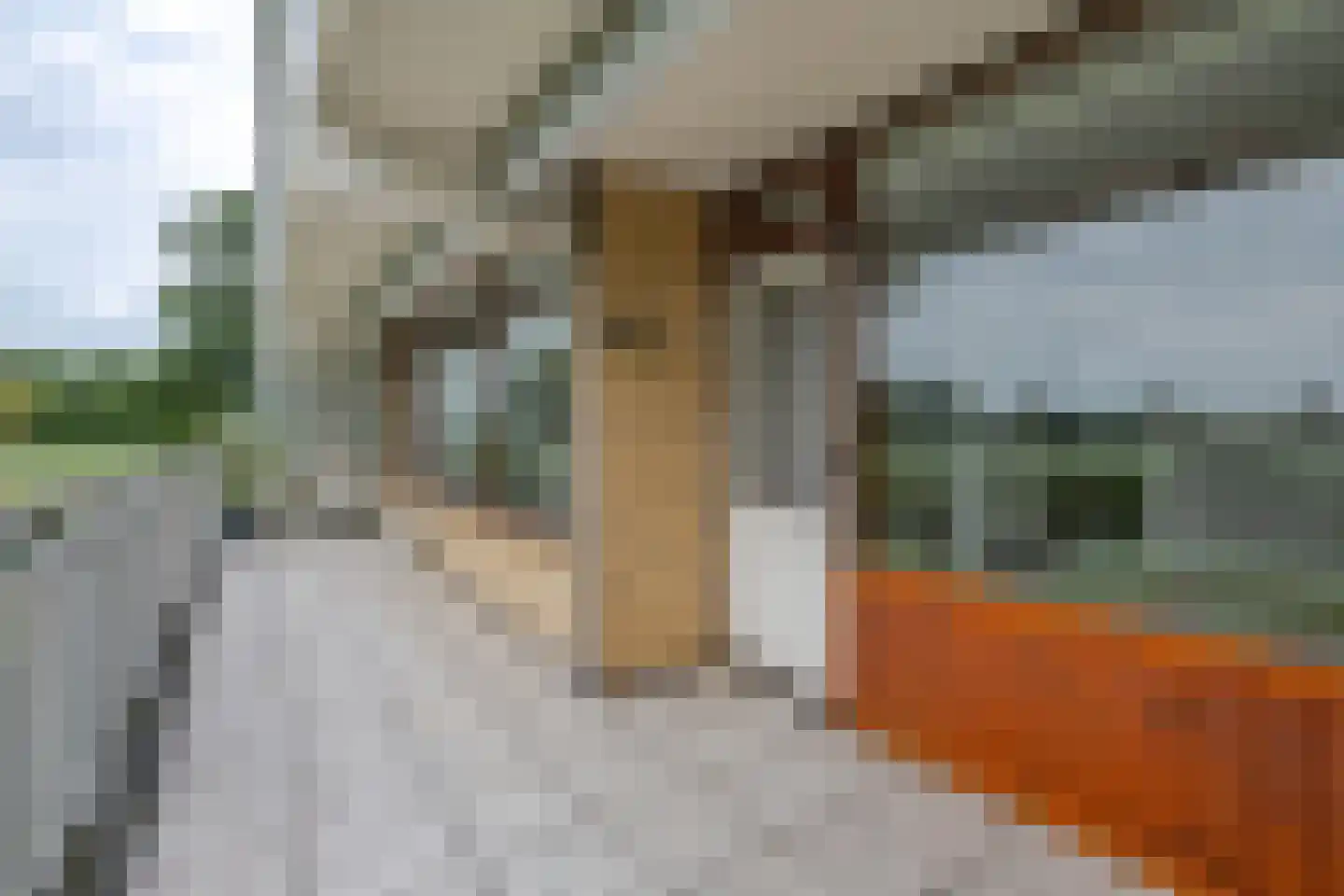 Seringenplantsoen 239 Ridderkerk thumbnail 4