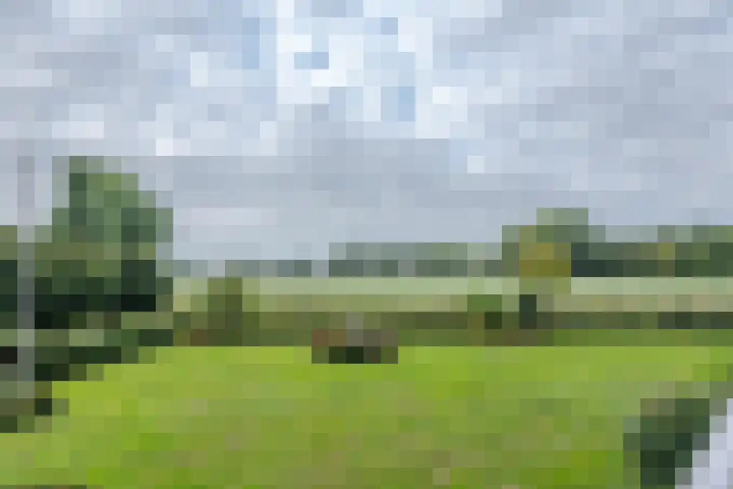 Seringenplantsoen 239 Ridderkerk thumbnail 5