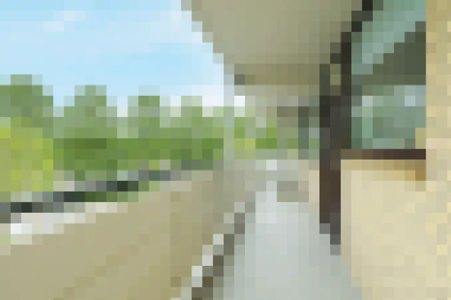 Seringenplantsoen 261 Ridderkerk thumbnail 10