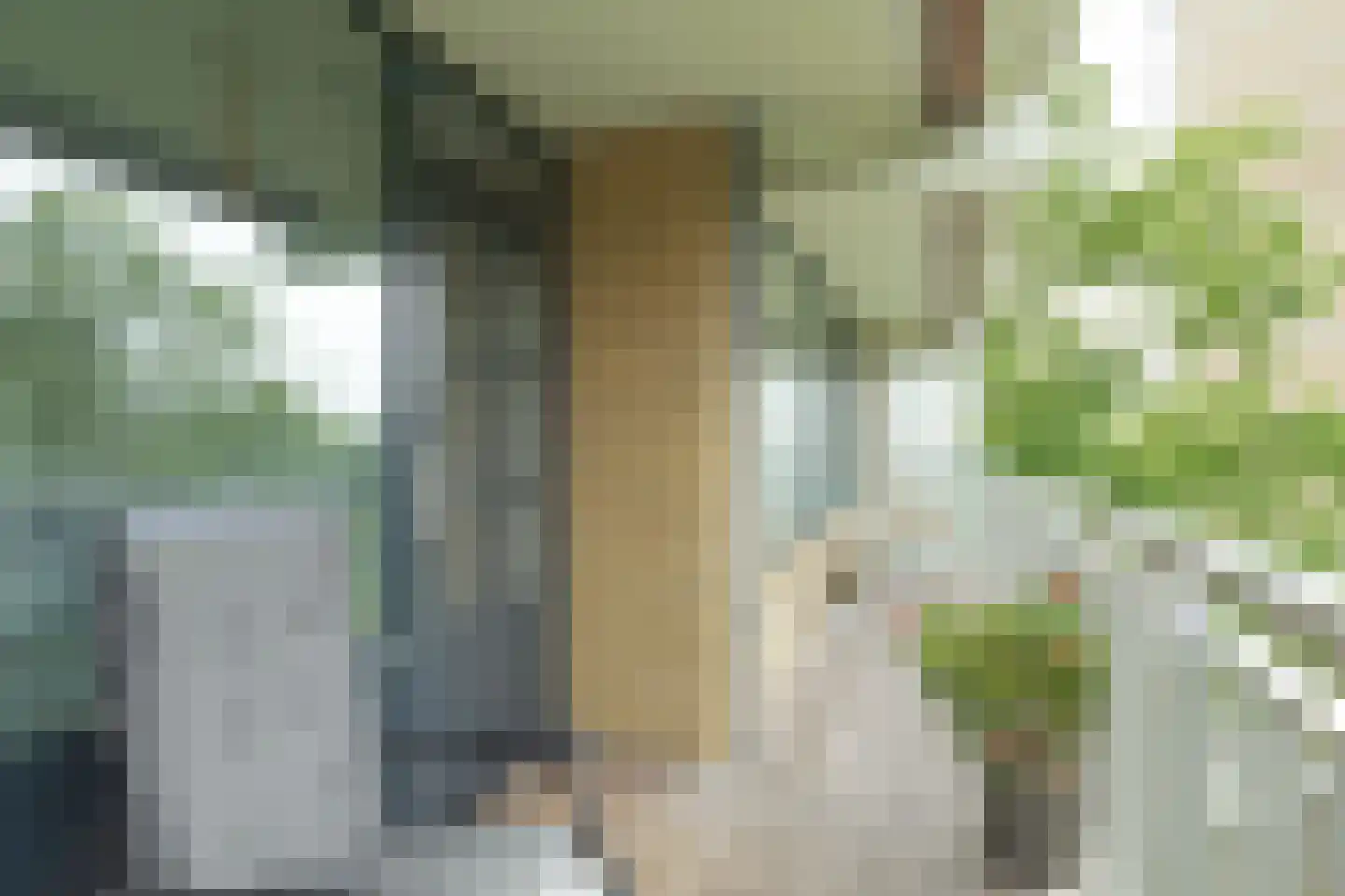 Seringenplantsoen 261 Ridderkerk thumbnail 31