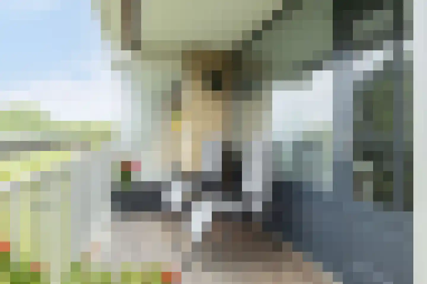 Seringenplantsoen 261 Ridderkerk thumbnail 32