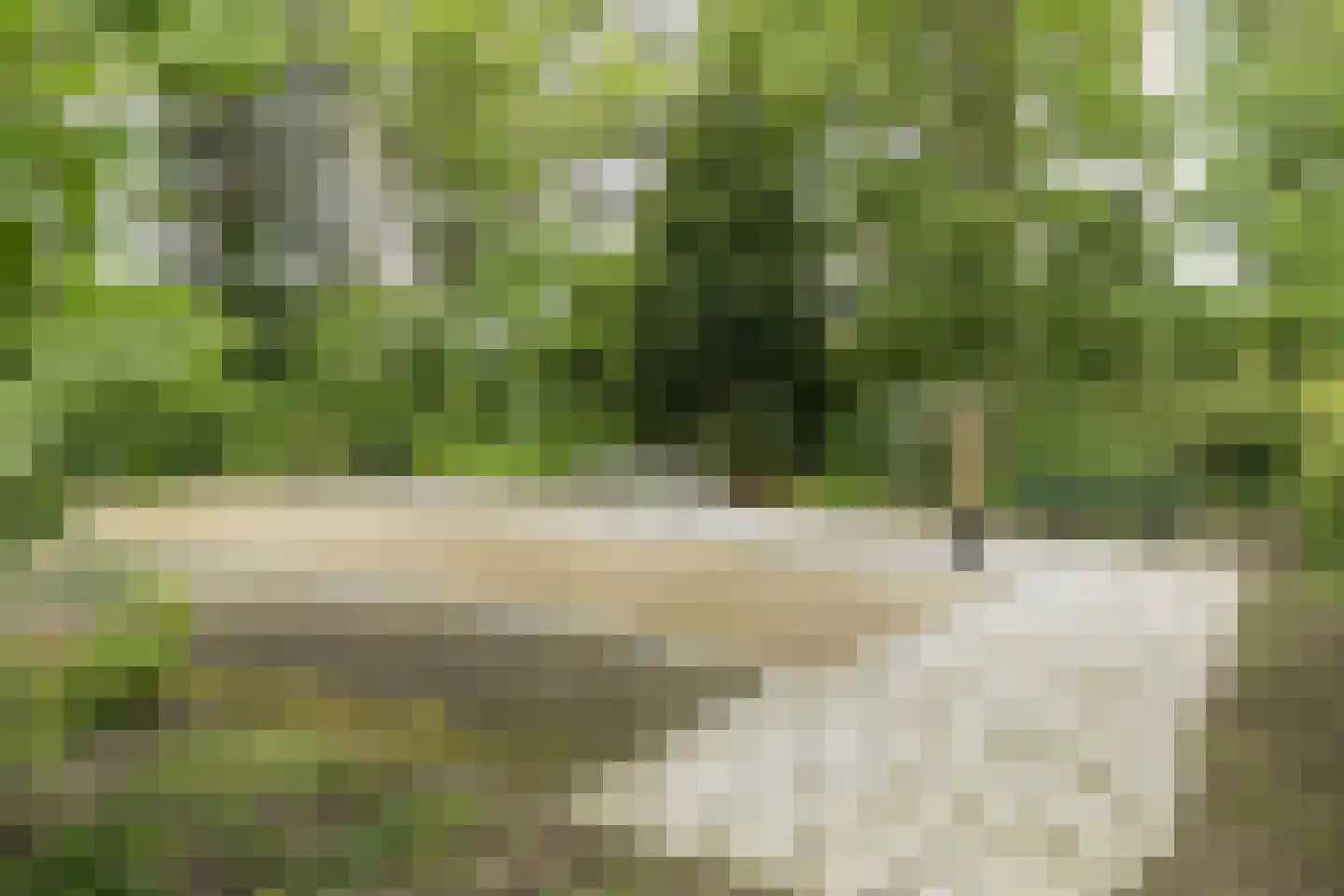 Seringenplantsoen 261 Ridderkerk thumbnail 37