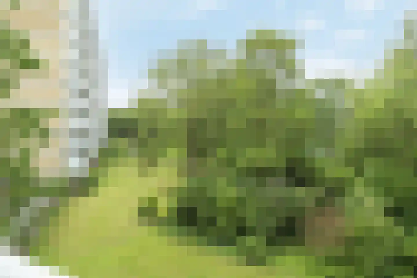 Seringenplantsoen 261 Ridderkerk thumbnail 5