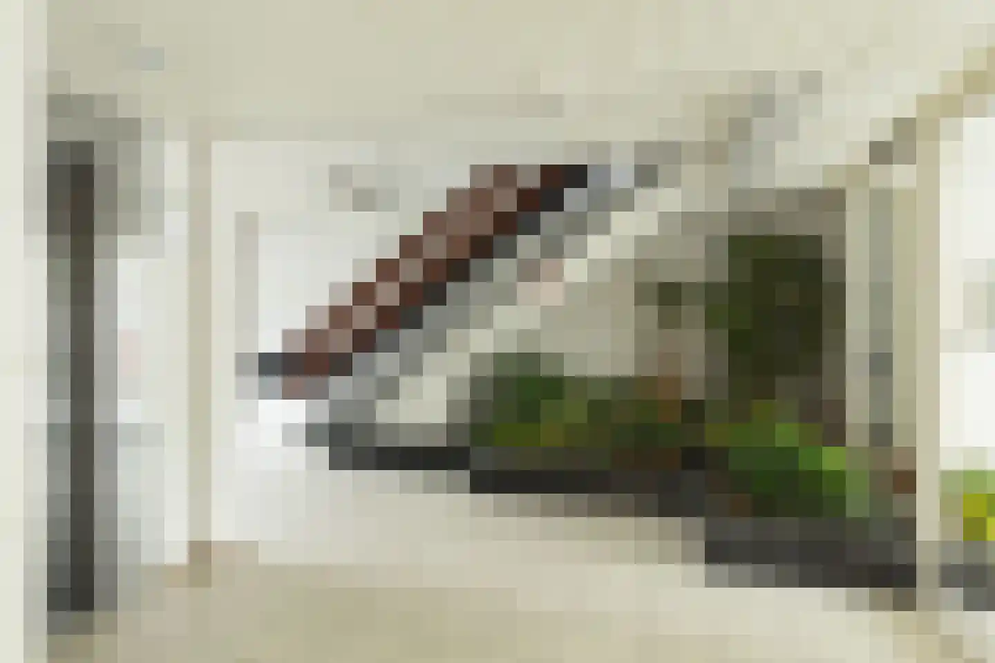 Seringenplantsoen 261 Ridderkerk thumbnail 8