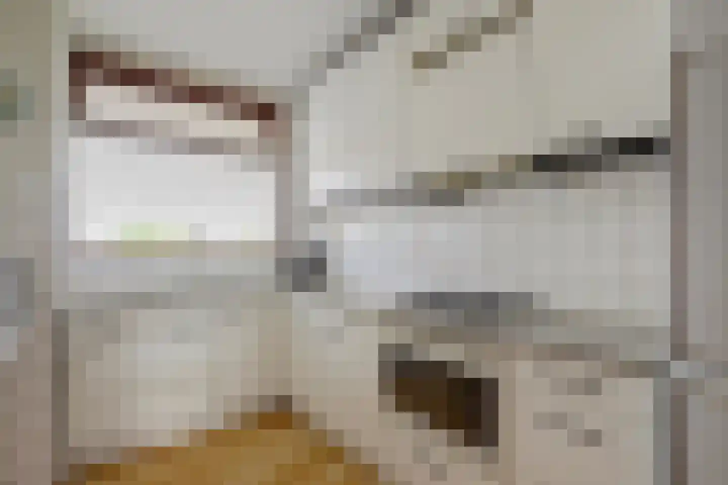 Seringenplantsoen 291 Ridderkerk thumbnail 21