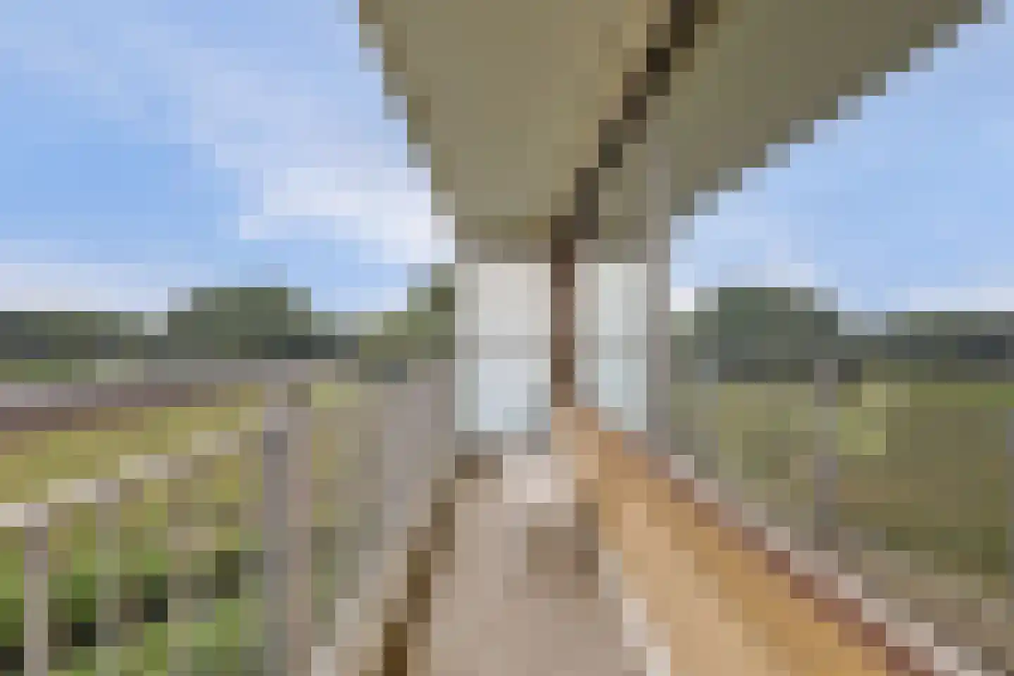 Seringenplantsoen 291 Ridderkerk thumbnail 29