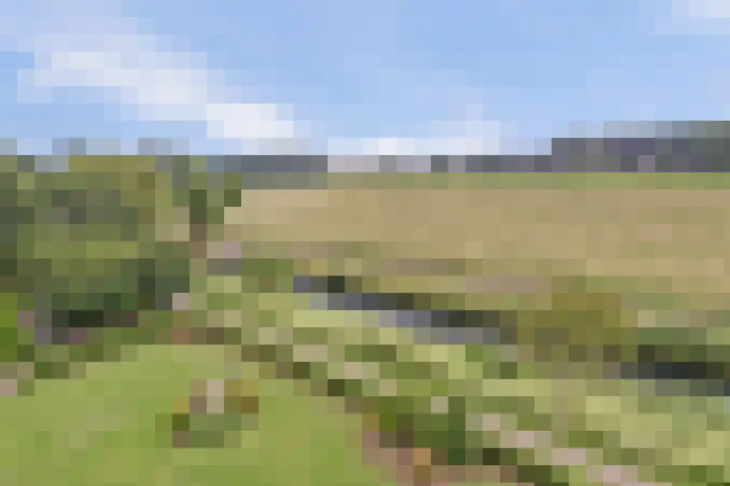 Seringenplantsoen 291 Ridderkerk thumbnail 30