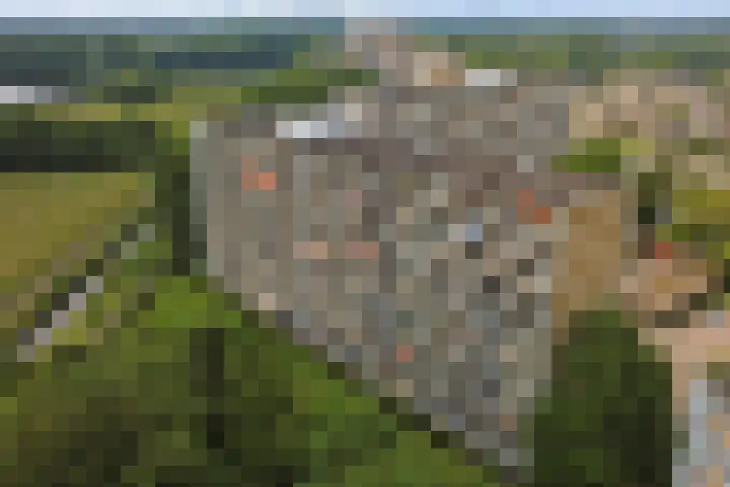 Seringenplantsoen 291 Ridderkerk thumbnail 35