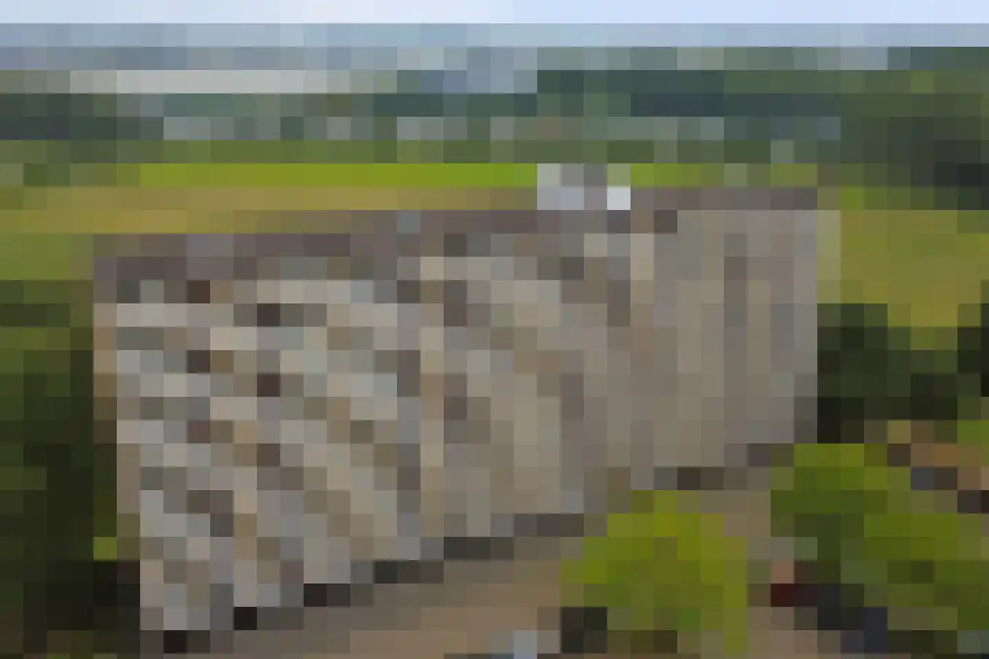 Seringenplantsoen 291 Ridderkerk thumbnail 36