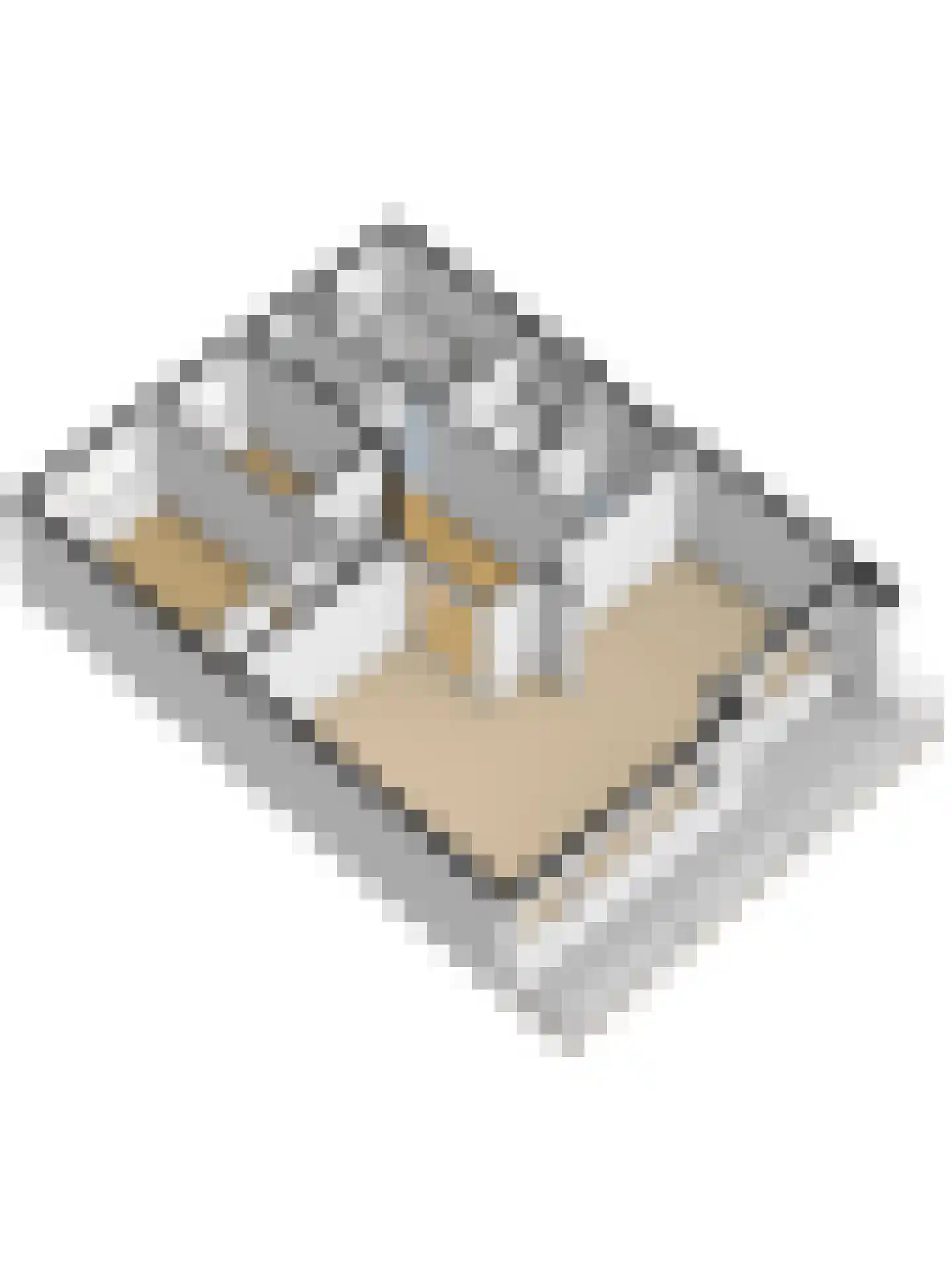 Seringenplantsoen 291 Ridderkerk thumbnail 38
