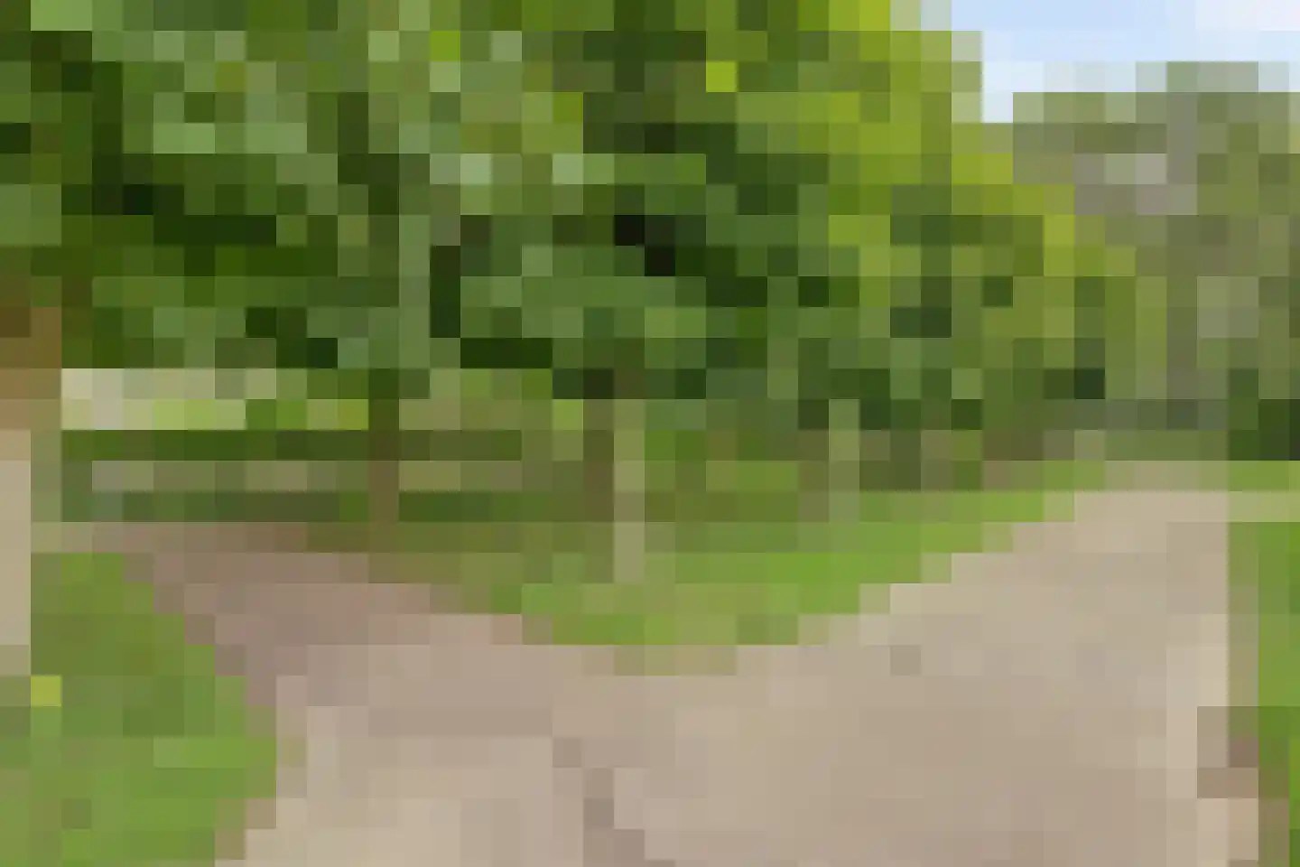 Seringenplantsoen 291 Ridderkerk thumbnail 4