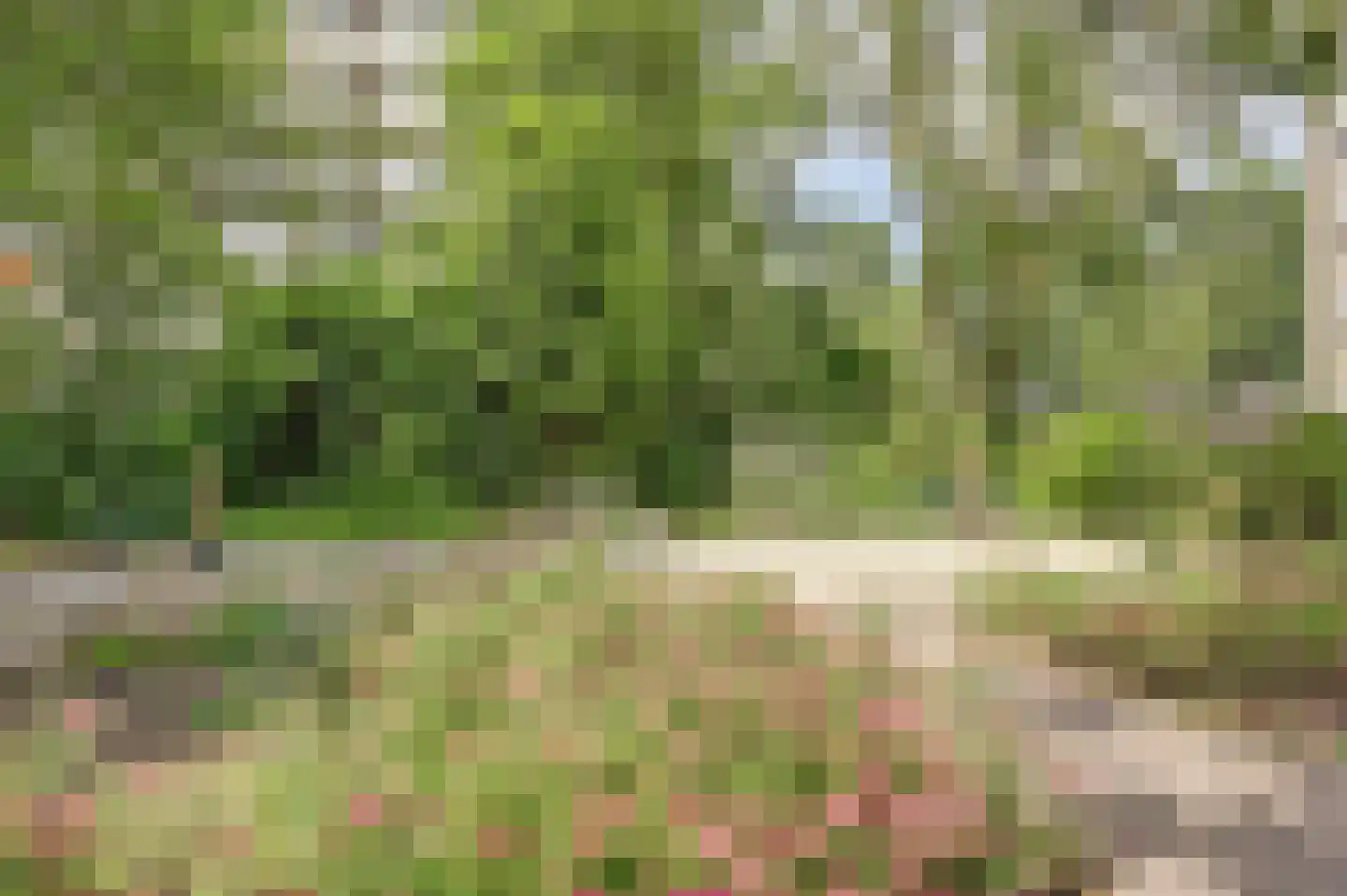 Seringenplantsoen 291 Ridderkerk thumbnail 6