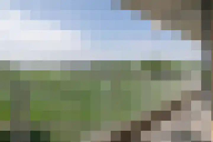 Seringenplantsoen 355 Ridderkerk thumbnail 10