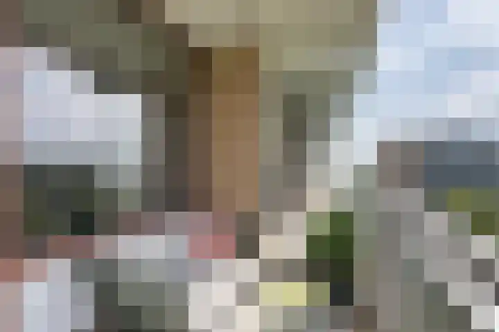 Seringenplantsoen 355 Ridderkerk thumbnail 11