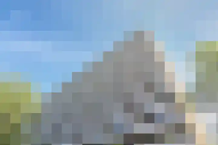 Seringenplantsoen 355 Ridderkerk thumbnail 24
