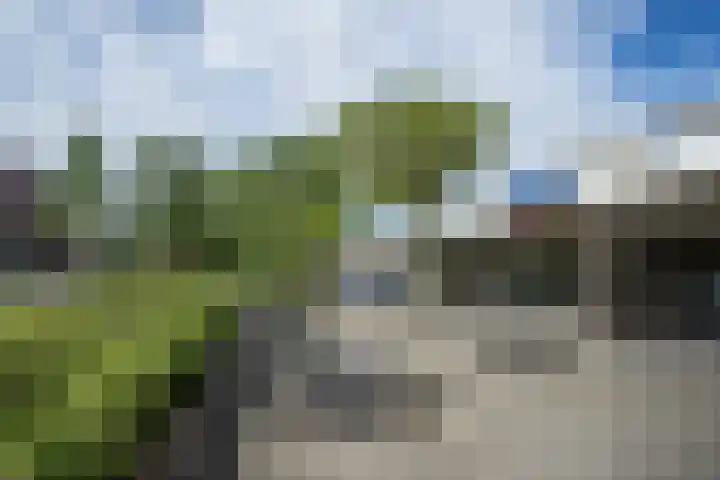 Seringenplantsoen 355 Ridderkerk thumbnail 27