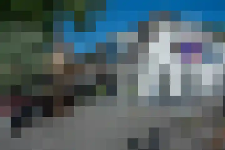 Seringenplantsoen 355 Ridderkerk thumbnail 33
