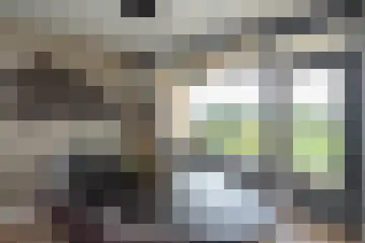 Seringenplantsoen 355 Ridderkerk thumbnail 9
