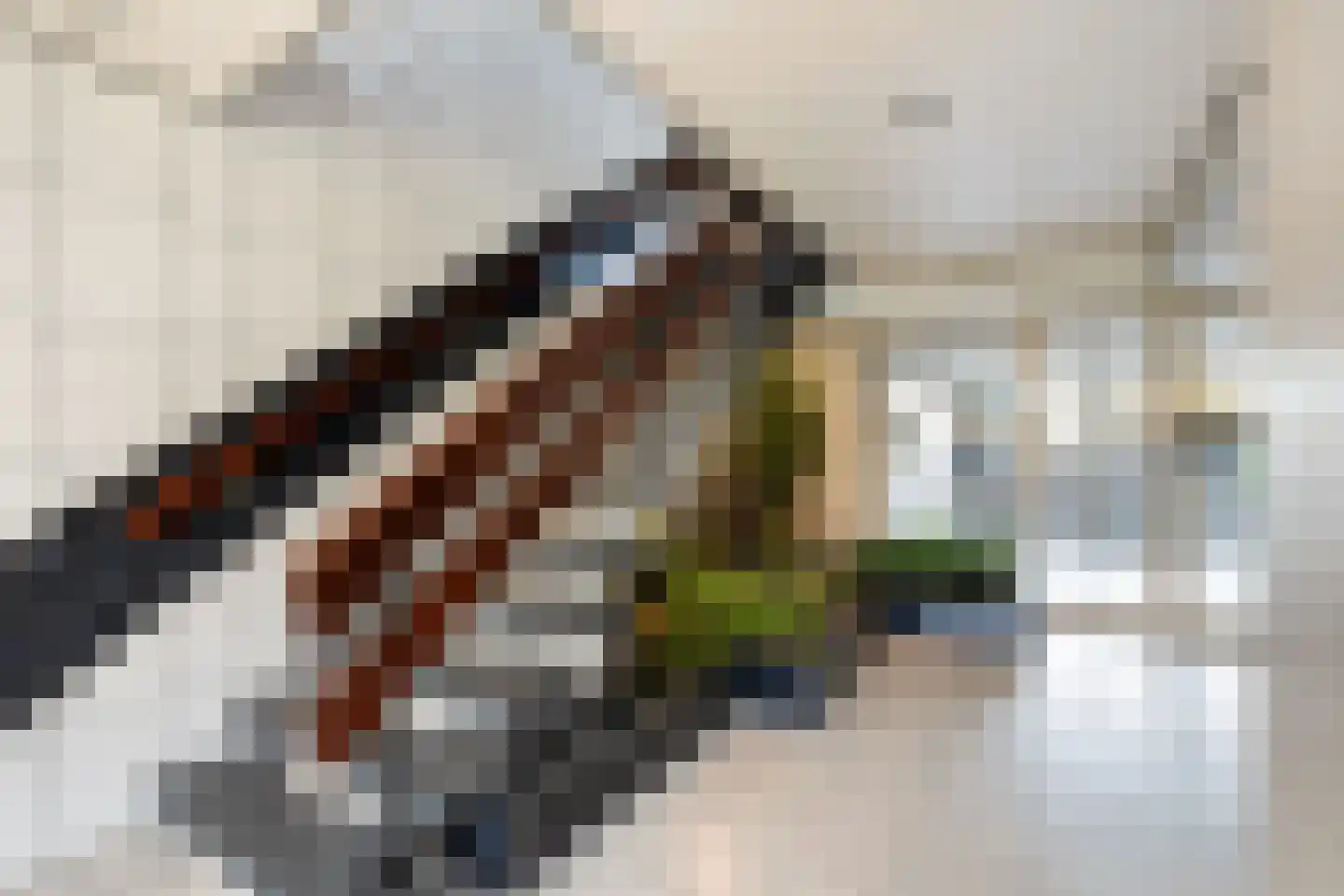 Seringenplantsoen 383 Ridderkerk thumbnail 31