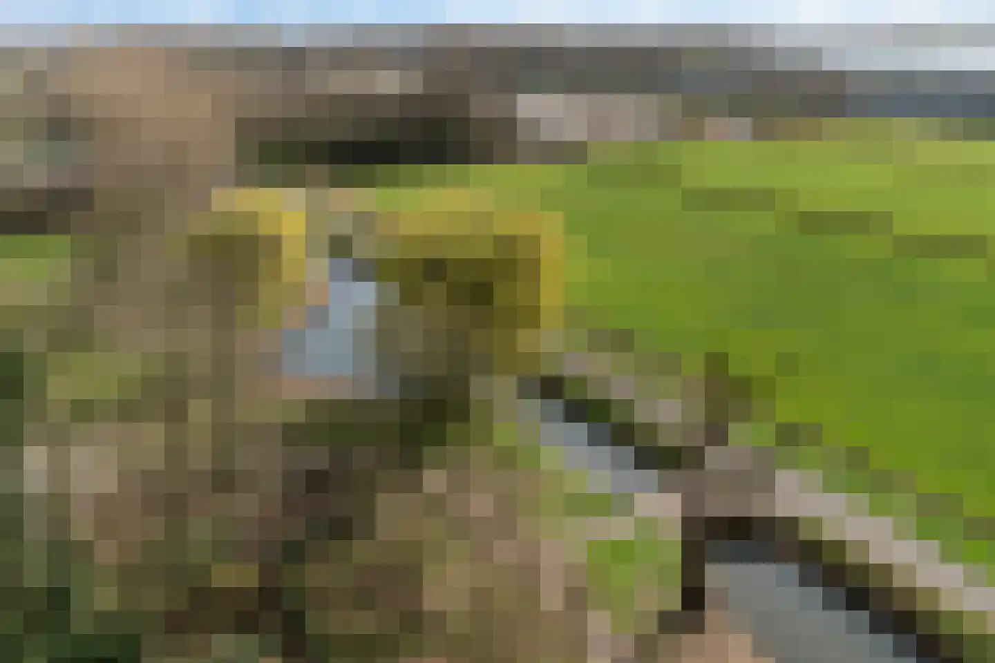 Seringenplantsoen 383 Ridderkerk thumbnail 34